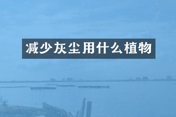 减少灰尘用什么植物