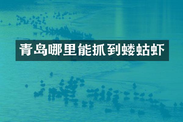 青岛哪里能抓到蝼蛄虾
