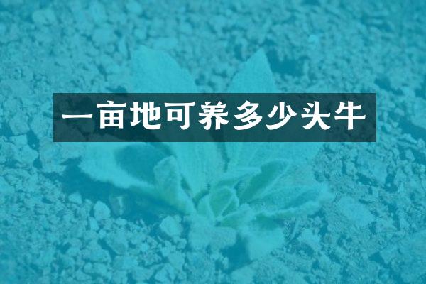 一亩地可养多少头牛
