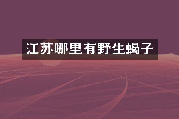 江苏哪里有野生蝎子