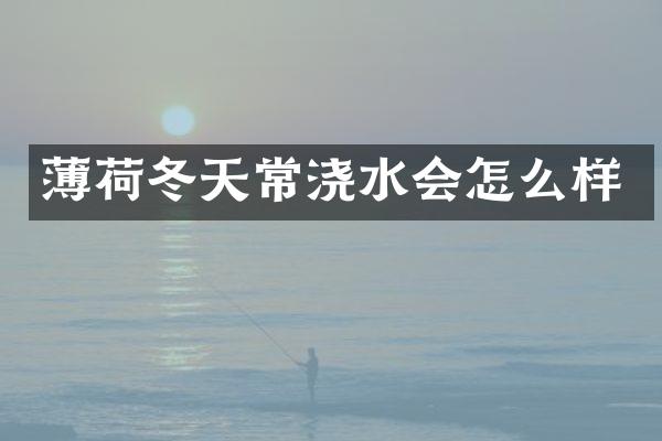 薄荷冬天常浇水会怎么样