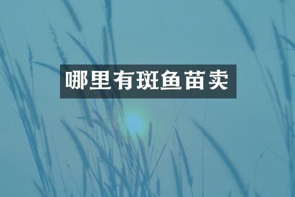 哪里有斑鱼苗卖
