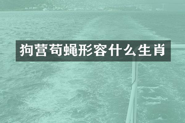 狗营苟蝇形容什么生肖