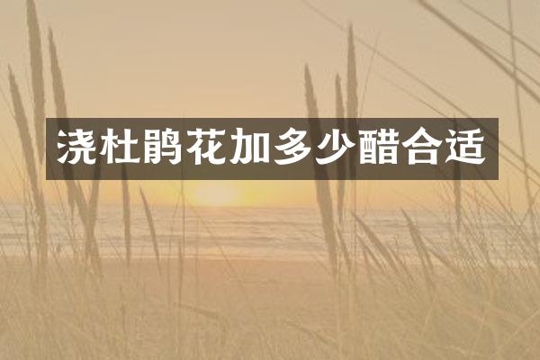 浇杜鹃花加多少醋合适