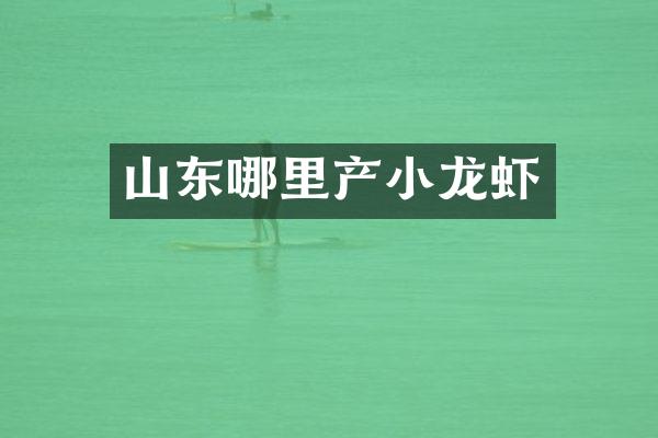 山东哪里产小龙虾