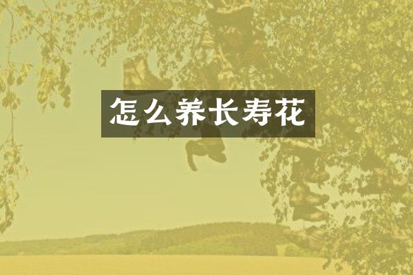 怎么养长寿花