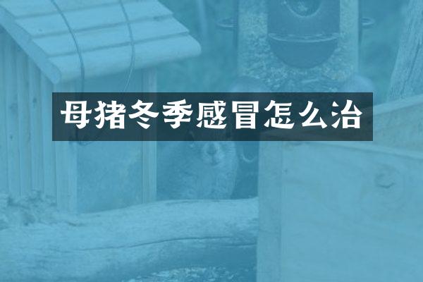 母猪冬季感冒怎么治