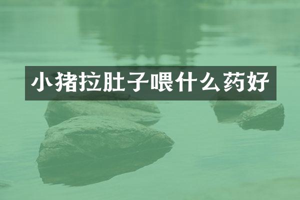 小猪拉肚子喂什么药好