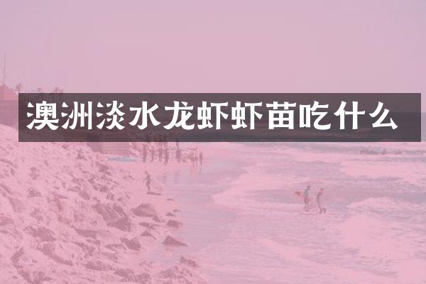 澳洲淡水龙虾虾苗吃什么