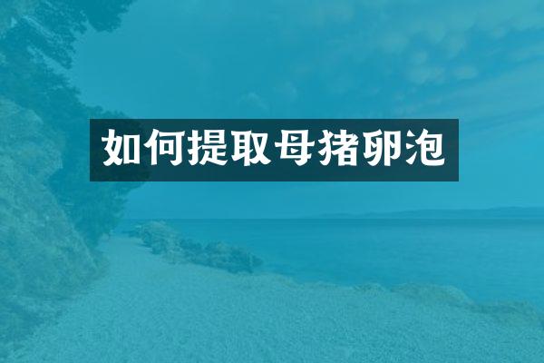 如何提取母猪卵泡