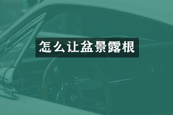 怎么让盆景露根