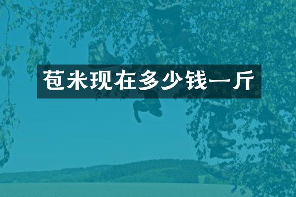 苞米现在多少钱一斤