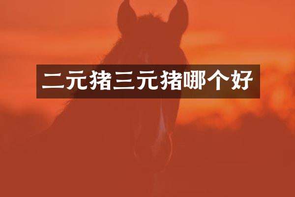 二元猪三元猪哪个好
