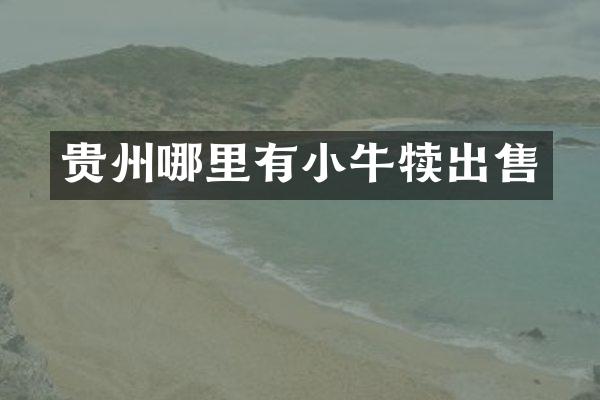 贵州哪里有小牛犊出售
