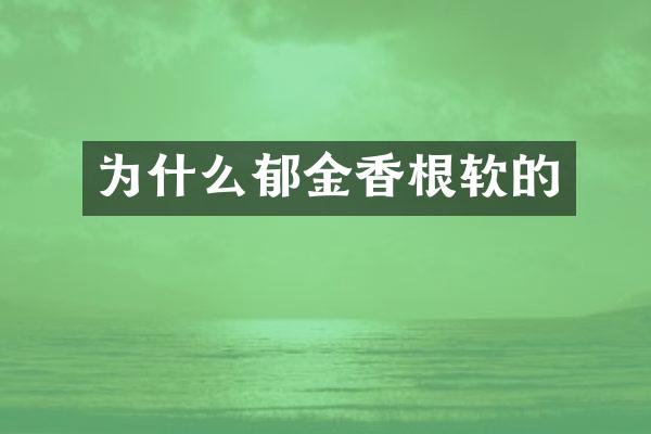 为什么郁金香根软的