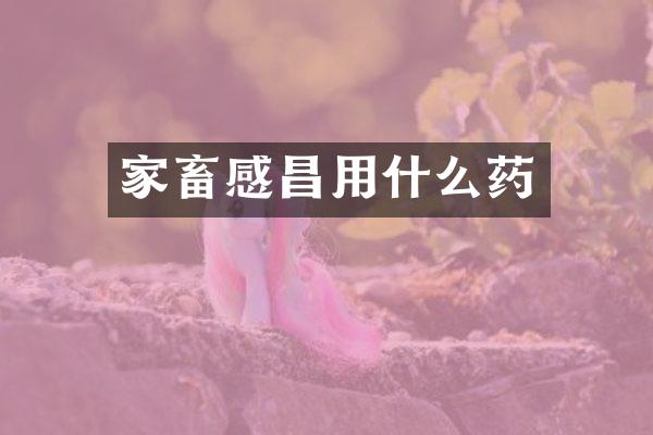 家畜感昌用什么药