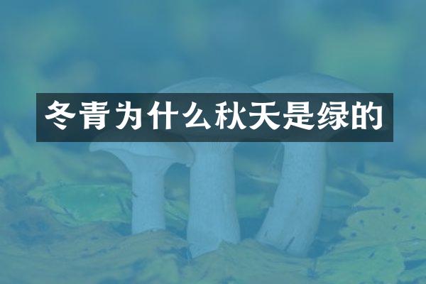 冬青为什么秋天是绿的