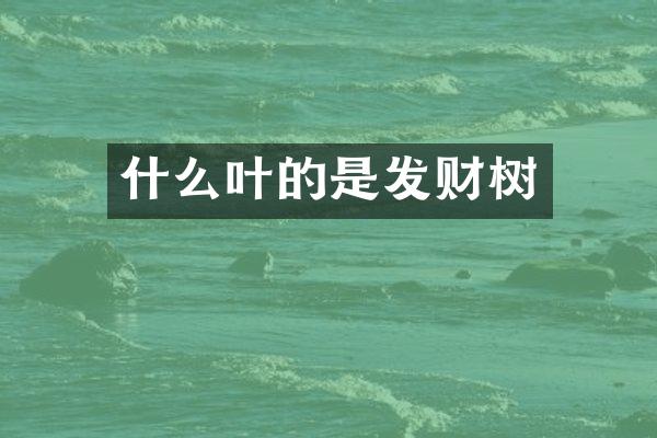 什么叶的是发财树