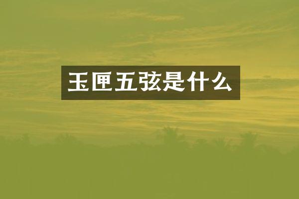 玉匣五弦是什么