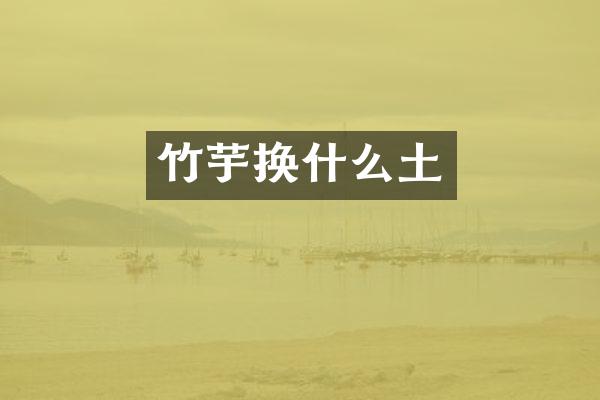 竹芋换什么土