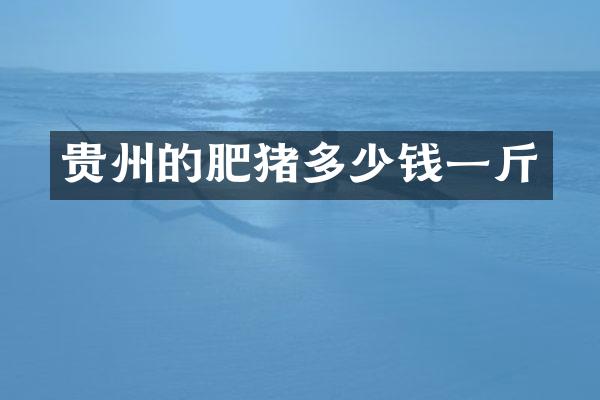 贵州的肥猪多少钱一斤