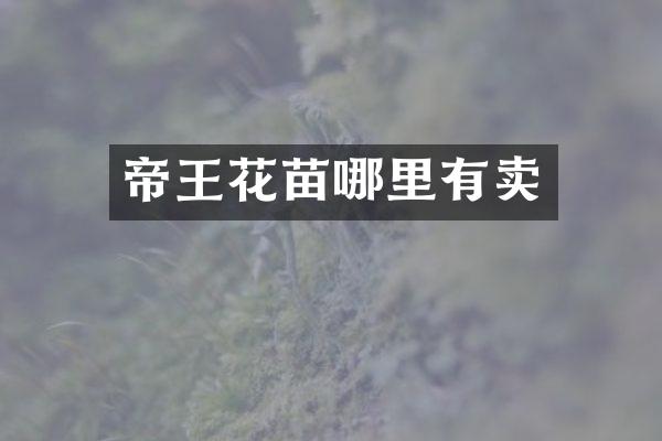 帝王花苗哪里有卖
