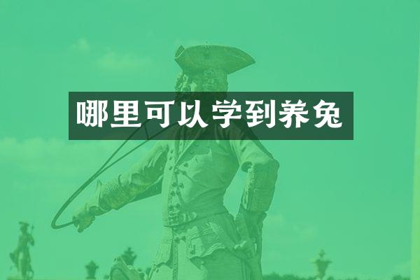 哪里可以学到养兔