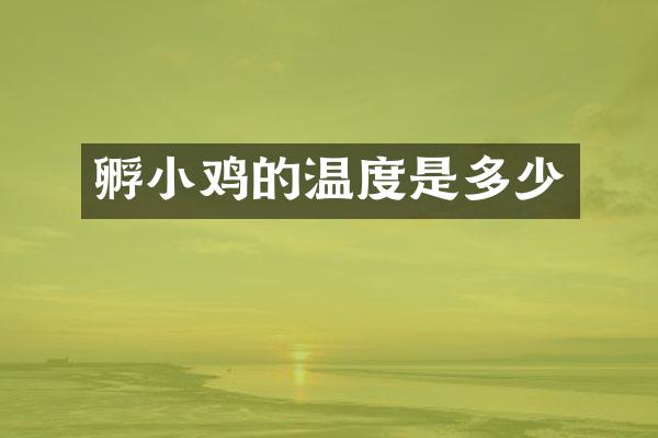 孵小鸡的温度是多少