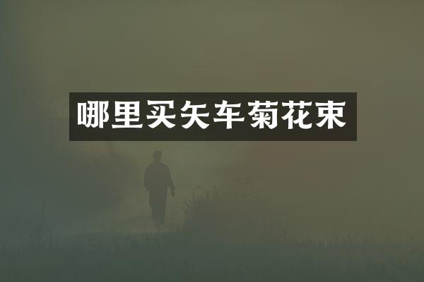 哪里买矢车菊花束
