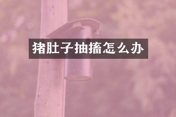 猪肚子抽搐怎么办