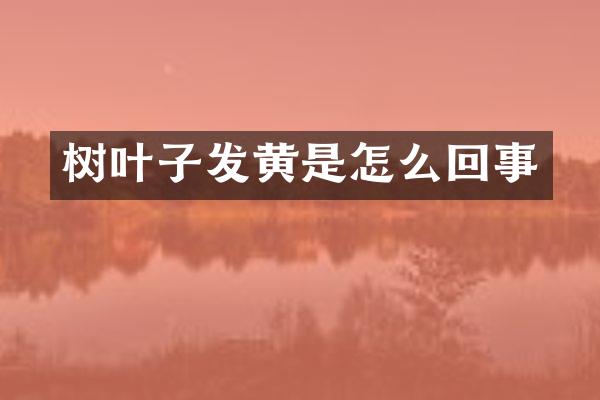 树叶子发黄是怎么回事