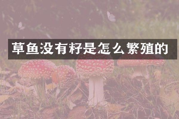 草鱼没有籽是怎么繁殖的