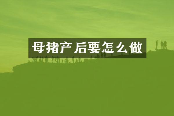 母猪产后要怎么做