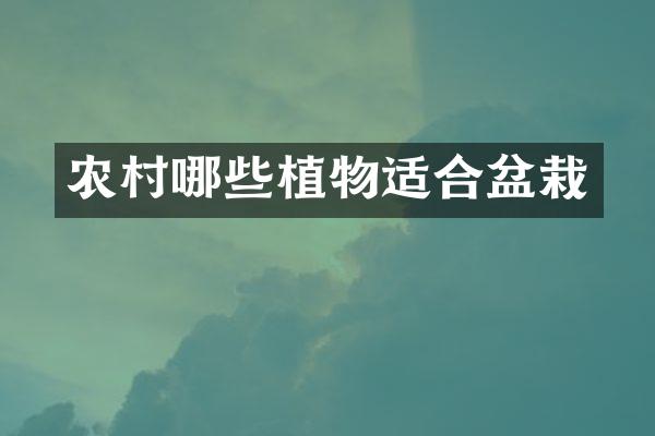 农村哪些植物适合盆栽