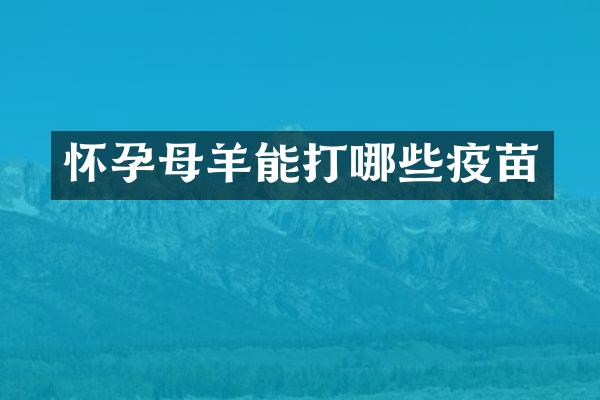 怀孕母羊能打哪些疫苗