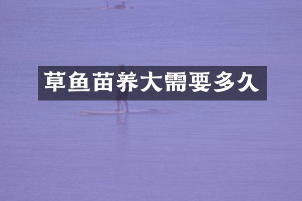 草鱼苗养大需要多久