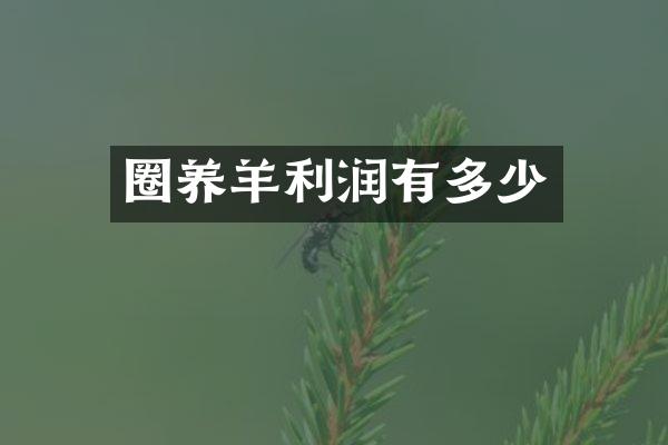 圈养羊利润有多少