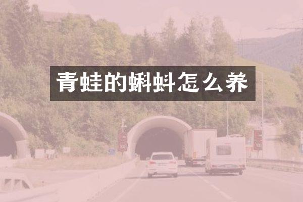青蛙的蝌蚪怎么养