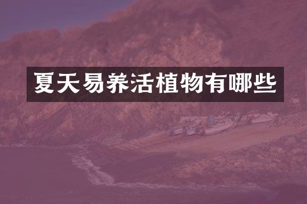 夏天易养活植物有哪些