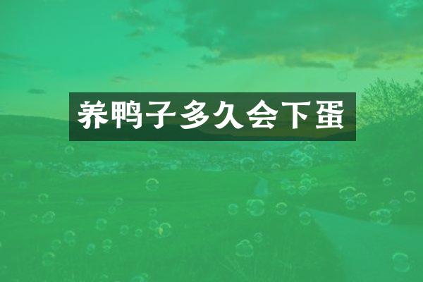 养鸭子多久会下蛋