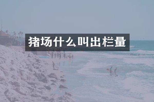 猪场什么叫出栏量