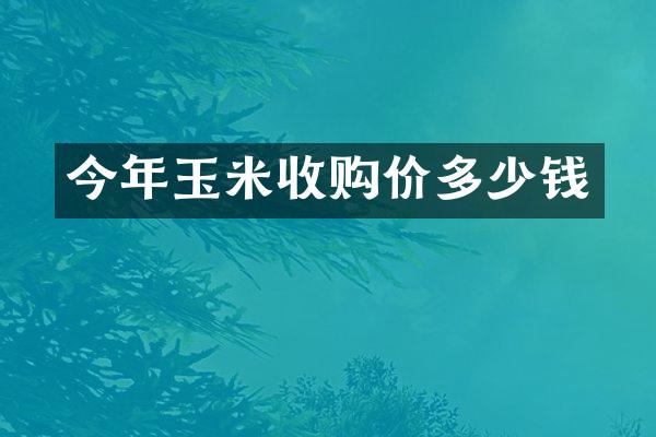 今年玉米收购价多少钱