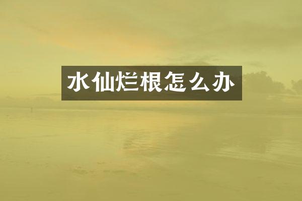 水仙烂根怎么办