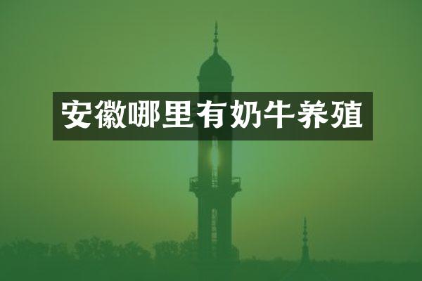 安徽哪里有奶牛养殖