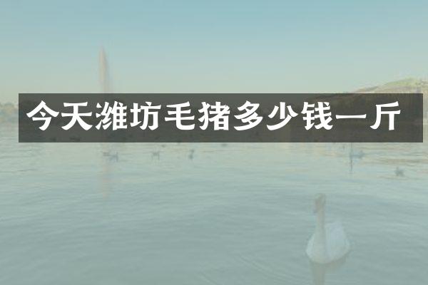 今天潍坊毛猪多少钱一斤