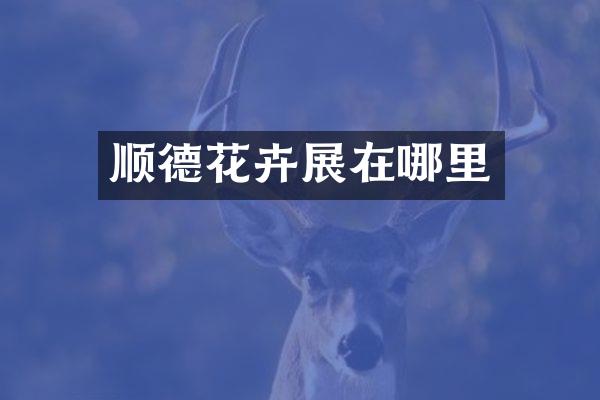 顺德花卉展在哪里
