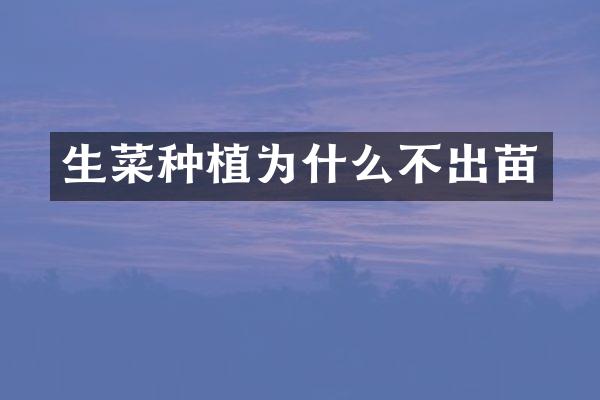生菜种植为什么不出苗