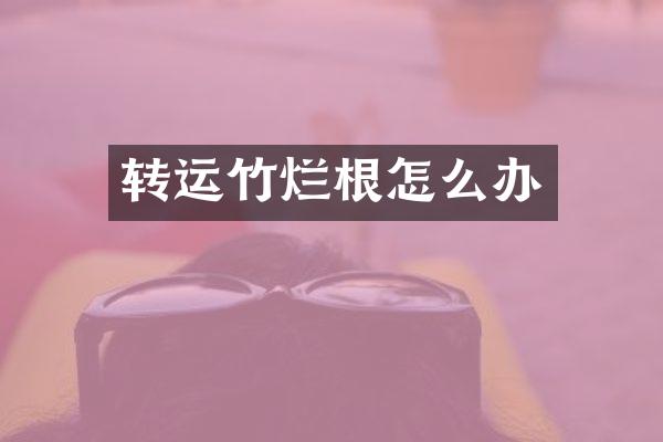 转运竹烂根怎么办