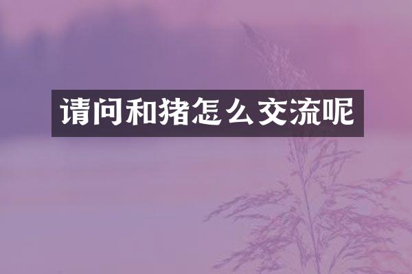 请问和猪怎么交流呢