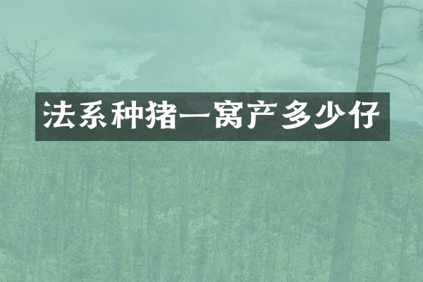 法系种猪一窝产多少仔